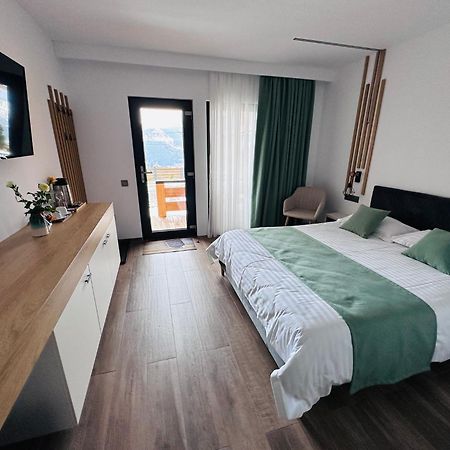 Panoramic Residence Borşa Extérieur photo