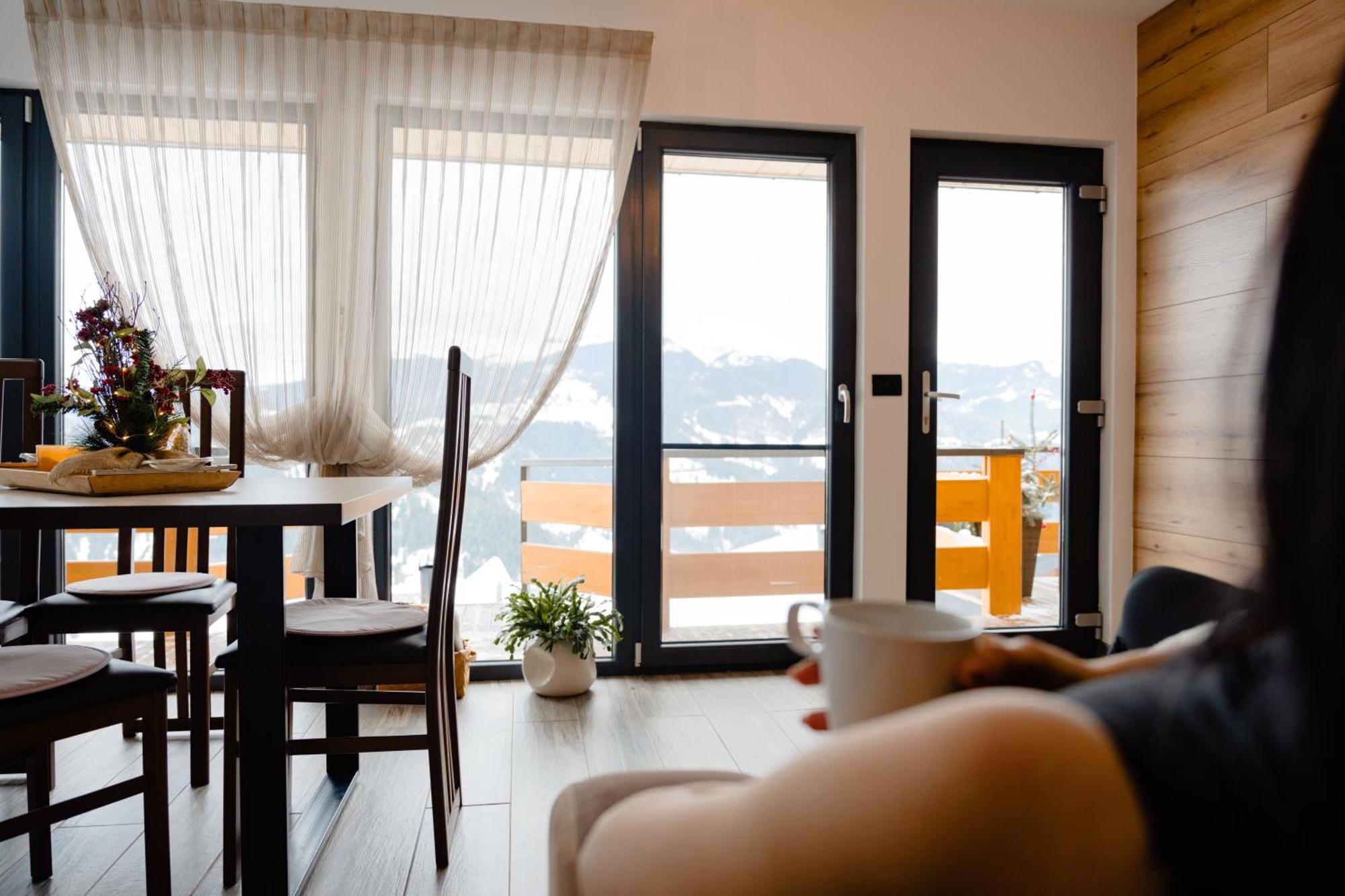 Panoramic Residence Borşa Extérieur photo