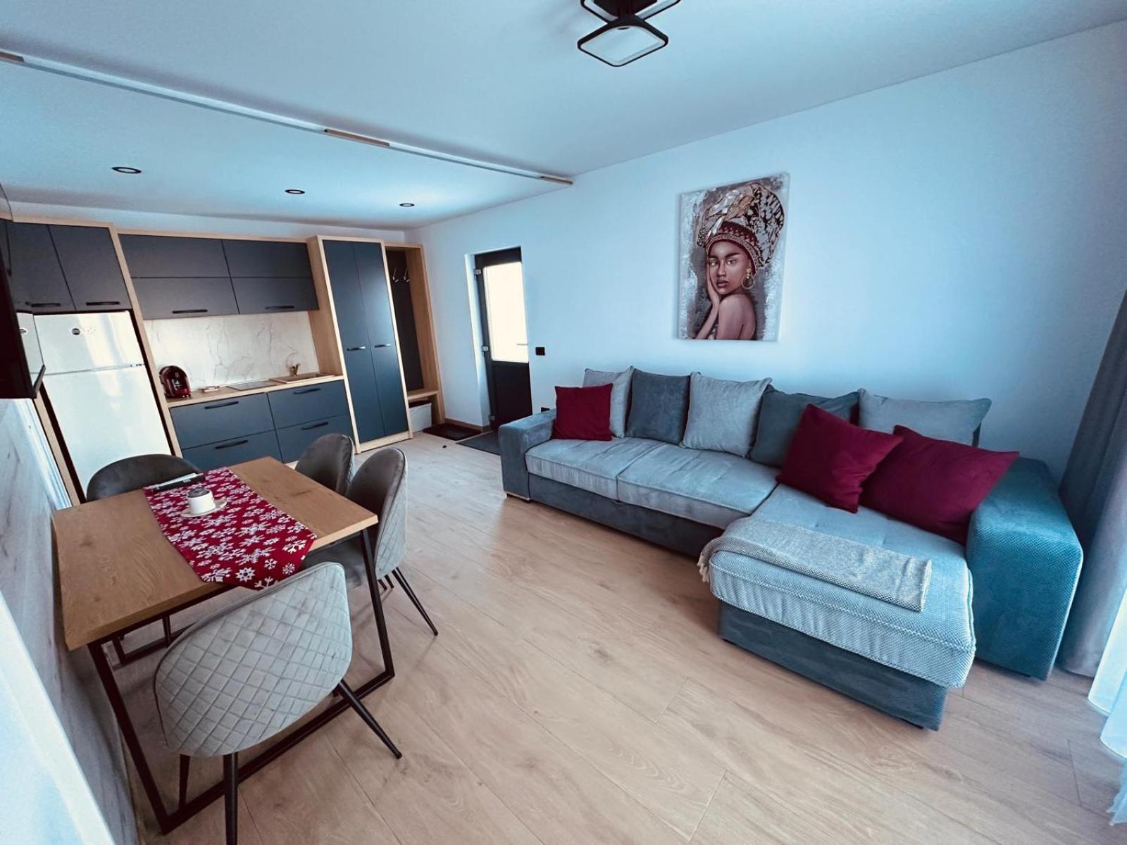 Panoramic Residence Borşa Extérieur photo