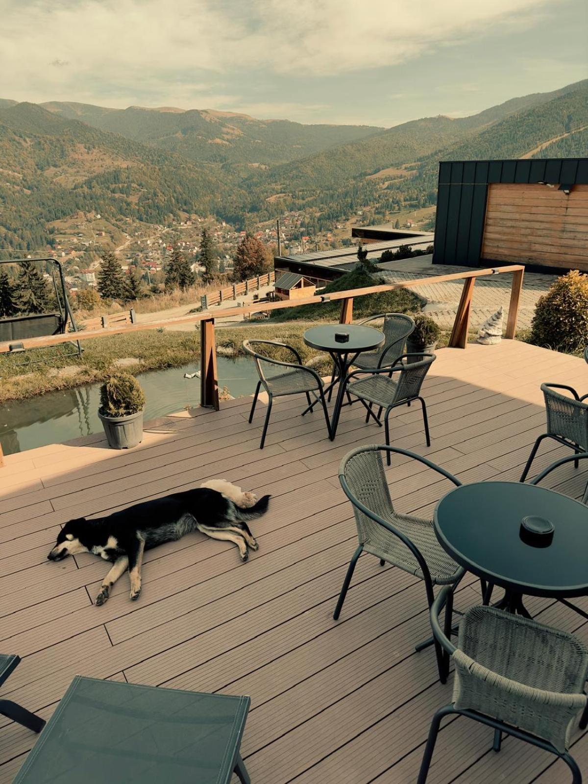 Panoramic Residence Borşa Extérieur photo
